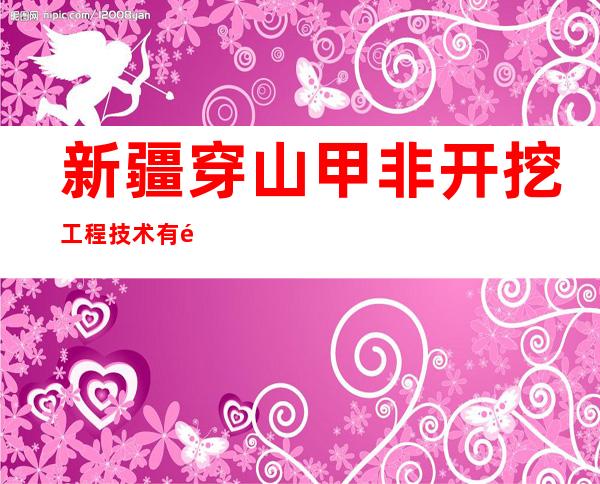 新疆穿山甲非开挖工程技术有限公司
